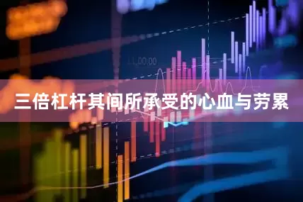 三倍杠杆其间所承受的心血与劳累